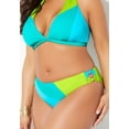 thumbnail image 3 of Swimsuits for All Women's Romancer Colorblock Bikini Bottom, 3 of 3