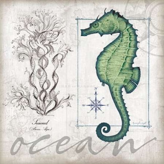 Coastal Seahorse Ca