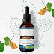 Slippery Elm Tincture Alcohol-FREE Extract, Responsibly farmed organic Slippery Elm Ulmus Rubra Possesses Soothing and Emollient Properties 2 oz