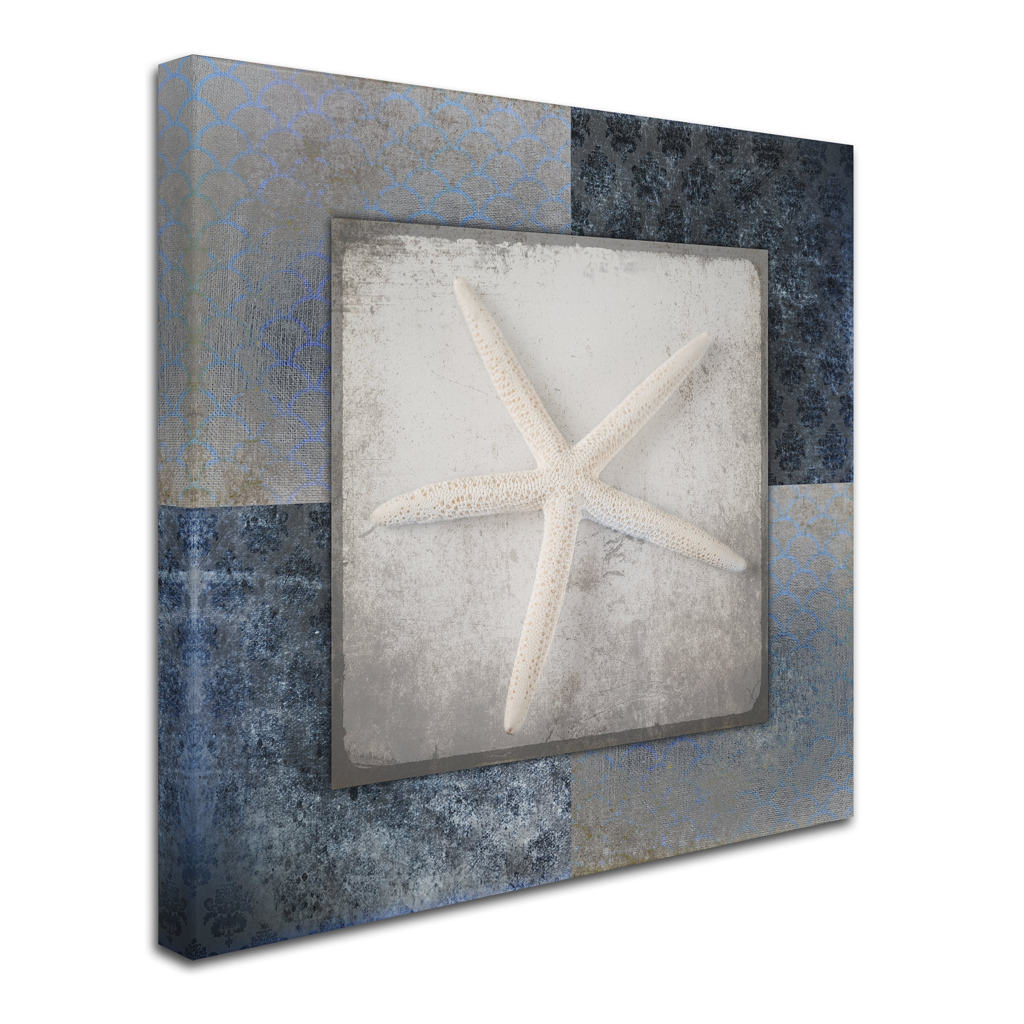 Trademark Fine Art 'Blue Star Fish 2' Canvas Art by LightBoxJournal