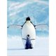 thumbnail image 1 of Drill Diamond Painting (DE4035) Cross Stitch 5D Full DIY Embroidery (Penguin T176) 50x70cm Hugtrwg Para estrenar, 1 of 1
