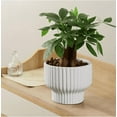 thumbnail image 7 of White Ceramic Ribbed Planters (2 Count), 7 of 7