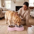 thumbnail image 7 of ICQOVD Stainless Steel Double Pet Bowl Set Food and Water Feeder with Non Slip Base Large Capacity Durable Feeding Bowl 9.84x5.31x1.77IN, 7 of 7