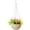 Beige, variant on Self-Watering Hanging Planter, Indoor Outdoor Garden Flower Plant Pot Container with Drainer and Hanging Chain