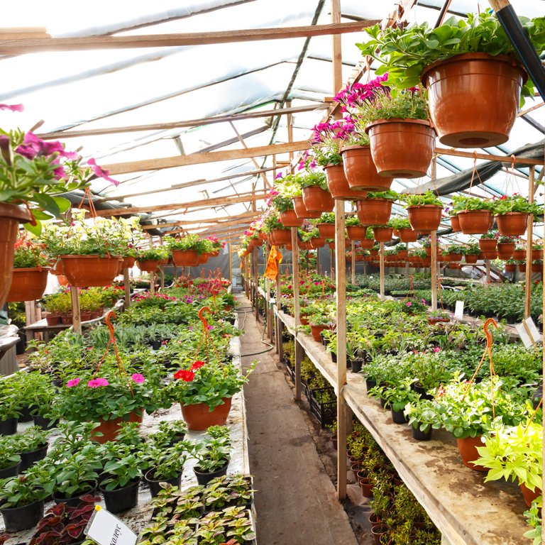 Gardening Pots & Nursery Pots - Greenhouse Megastore