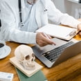 thumbnail image 2 of Modelo de cráneo médico desmontable. Modelo de cráneo humano realista para fines educativos., 2 of 8