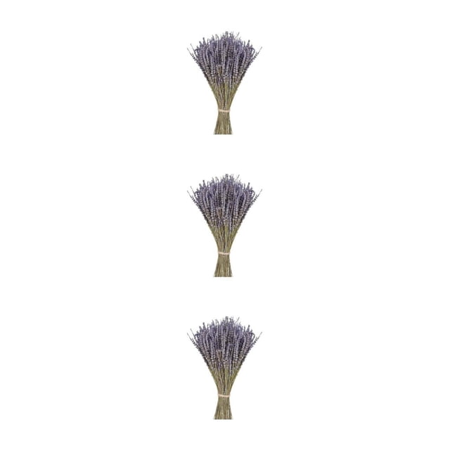 Monstrate Lavanda seca Natural, lavanda recién cosechada, ramo de flores decorativas, arreglo de flores, accesorios DIY Lavanda seca 100 gramos 3piezas