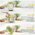 thumbnail image 6 of Januofit Sprouting Lids with Stand, BPA Free Plastic Sprout Maker Kit for Wide Mouth Mason Jars, Easy Seed Germination, Bean Sprouts Grow Kit, Sprout Maker, Alfalfa, Broccoli, Salad Greens, 6 of 7
