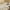 Beige, variant on AYktou Comforter Duvet Insert,Soft Bedding for All Seasons,Machine Washable Lightweight Quilted Comforters,Bedding Comforter for All-Season Cool Comfort,78.74x59.05in,Twin/Full