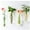 Clear, variant on GIXUSIL 2 Pack Glass Planters, Clear, Suitable for Most Water Plants, Perfect for DIY Propagation Station, Easy to Install, Elegant and Functional for Women, Mom, Plants Lovers(Cylindrical)