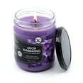 thumbnail image 5 of Lilac Blossom Odor Eliminating Highly Fragranced Candle - Neutralizes Pet, Smoke, Food, and Other Smells Quickly - Up to 80 Hour Burn time - 12 Ounce Premium Soy Blend, 5 of 8