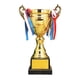 thumbnail image 2 of Premio de Metal Trofeo Ganar Primer Lugar Trofeos Trofeo Copa Premio Trofeo para Favores de Fiesta Escuela Aula Props 30 centimetros Hugo Trofeo de premio, 2 of 10