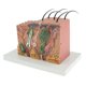 thumbnail image 4 of 35: 1 Modelo De Piel Humana Bloque Anatomía Biología s De Enseñanza Médicas, De Duración Sunnimix Bloque de tejido de piel humana, 4 of 7