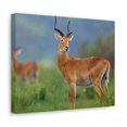 thumbnail image 2 of Majestic Antelope Art Majestic Antelope Print Animal Wall Art Wildlife Canvas Prints Wall Art Ready to Hang Unframed, 2 of 18