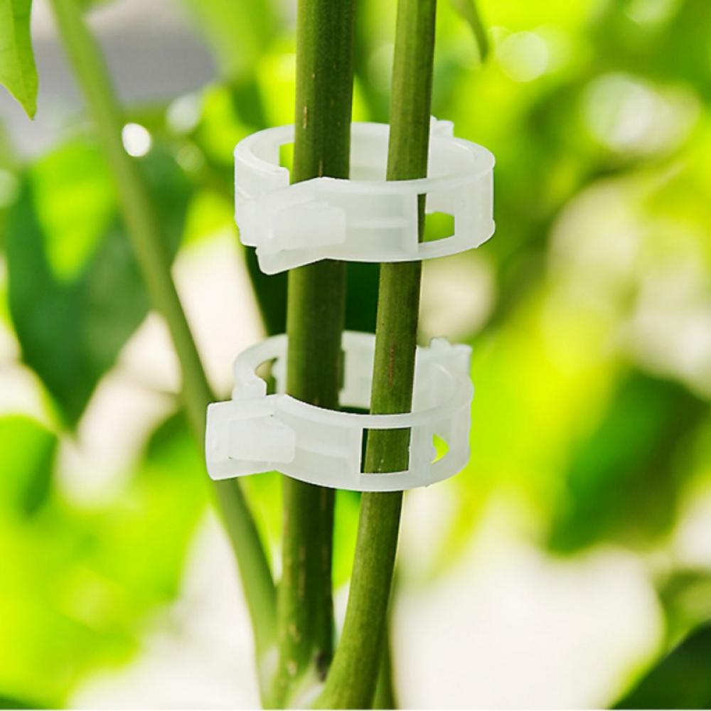 50-100Pcs Tomato clips trellis vegetable binder twine garden plant support