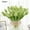 Green, variant on Morttic 5/10Pack Artificial Tulip Flowers 13.5 Inch PU Real Touch Tulip Bouquet Flowers Bridal Bouquets for Home Kitchen Wedding Office Party Decorations (Blue ,10pcs)