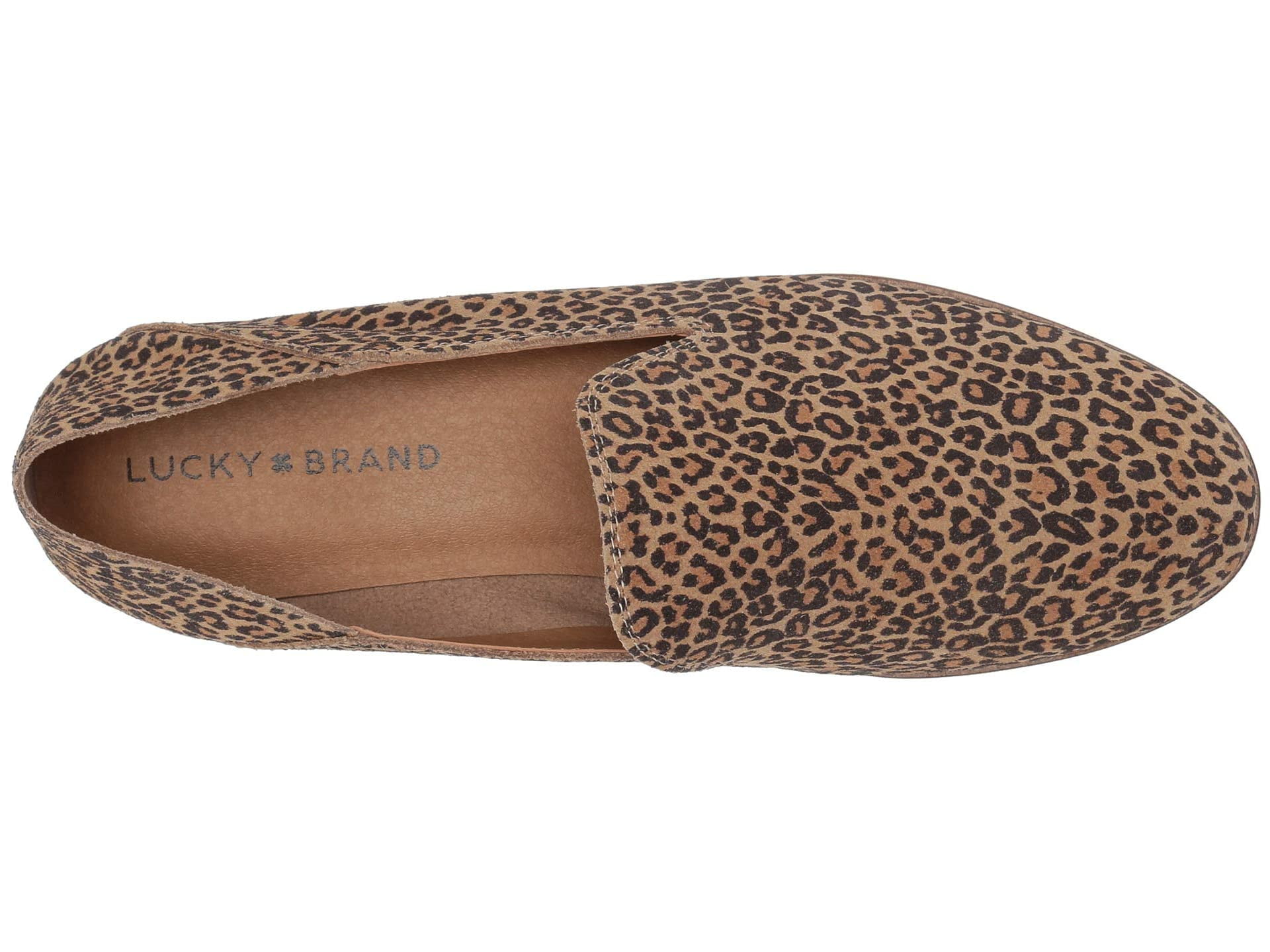 lucky cahill leopard