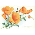 thumbnail image 2 of Art.com California Poppies Stretched Canvas Print Wall Art, 24" x 16", 2 of 4