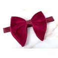 thumbnail image 2 of Spring Notion Men's Vintage Velvet Bow Tie, 2 of 4