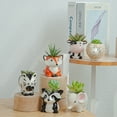 thumbnail image 4 of 2pcs Succulent Planter Animal Ceramic Flowerpots Garden Home Desk Ornament Decor, 4 of 9