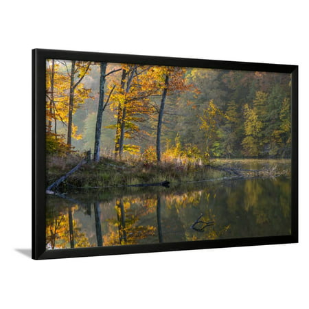 Backlit Trees on Lake Ogle in Autumn in Brown County Sp, Indiana Framed Print Wall Art By Chuck