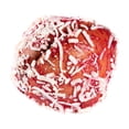 thumbnail image 3 of Ojo de buey por pieza, 3 of 4