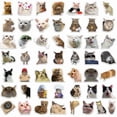 thumbnail image 3 of 50pcs Cat MEME Animals Stickers Toy Graffiti Decals for Kids, 3 of 5