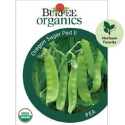 Burpee Organics Oregon Sugar Pod II Pea Seeds - Non-GMO, Snowpea, Heirloom Organic Vegetable Gardening Seeds, 17g, 1-Pack