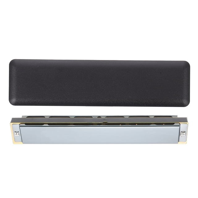 OULII Instrument de Musique Portable Harmonica en Métal Noir pour Débutants