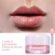 thumbnail image 2 of Bálsamo labial voluminizador con colágeno Probioderm BIO HEAL BOH 15 ml K-beauty `. Mejor, 2 of 7
