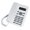 White, variant on Desk Telephone with Call Display for Hospitality & Corporate Use, Corded Multi-Line Phone