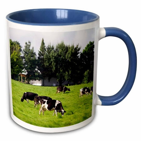 3dRose Dairy cow farm, Taylor County, Wisconsin, USA - US50 DFR0049 - David R. Frazier - Two Tone Blue Mug, (Best Dairy Cow For Small Farm)