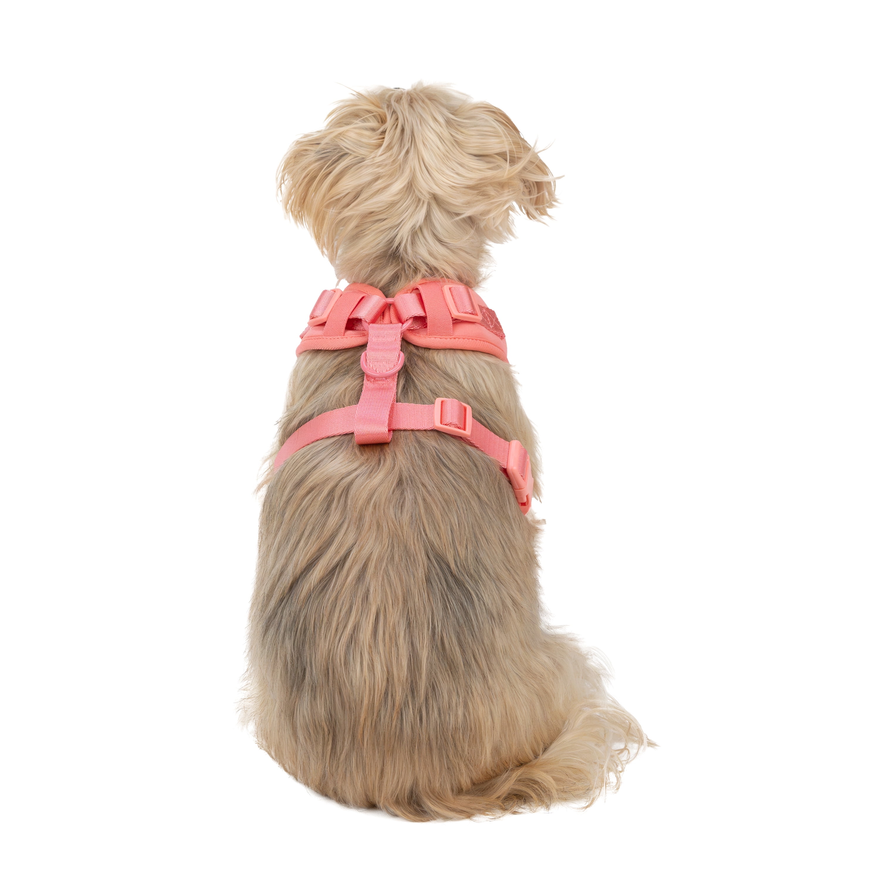 Vibrant Life Polyester & Spandex Adjustable Dog Harness, Pink, Small
