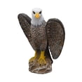 thumbnail image 1 of Señuelo de águi falso Sunnimix Estatua de águila desmontable de plástico para ave palomas disuasoria, 1 of 8