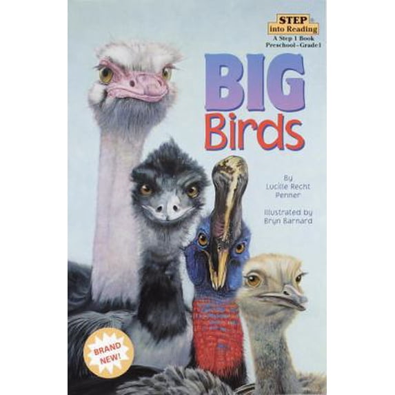 Pre-Owned Big Birds (Step into Reading, Step 1, paper) (Paperback) 067988968X 9780679889687