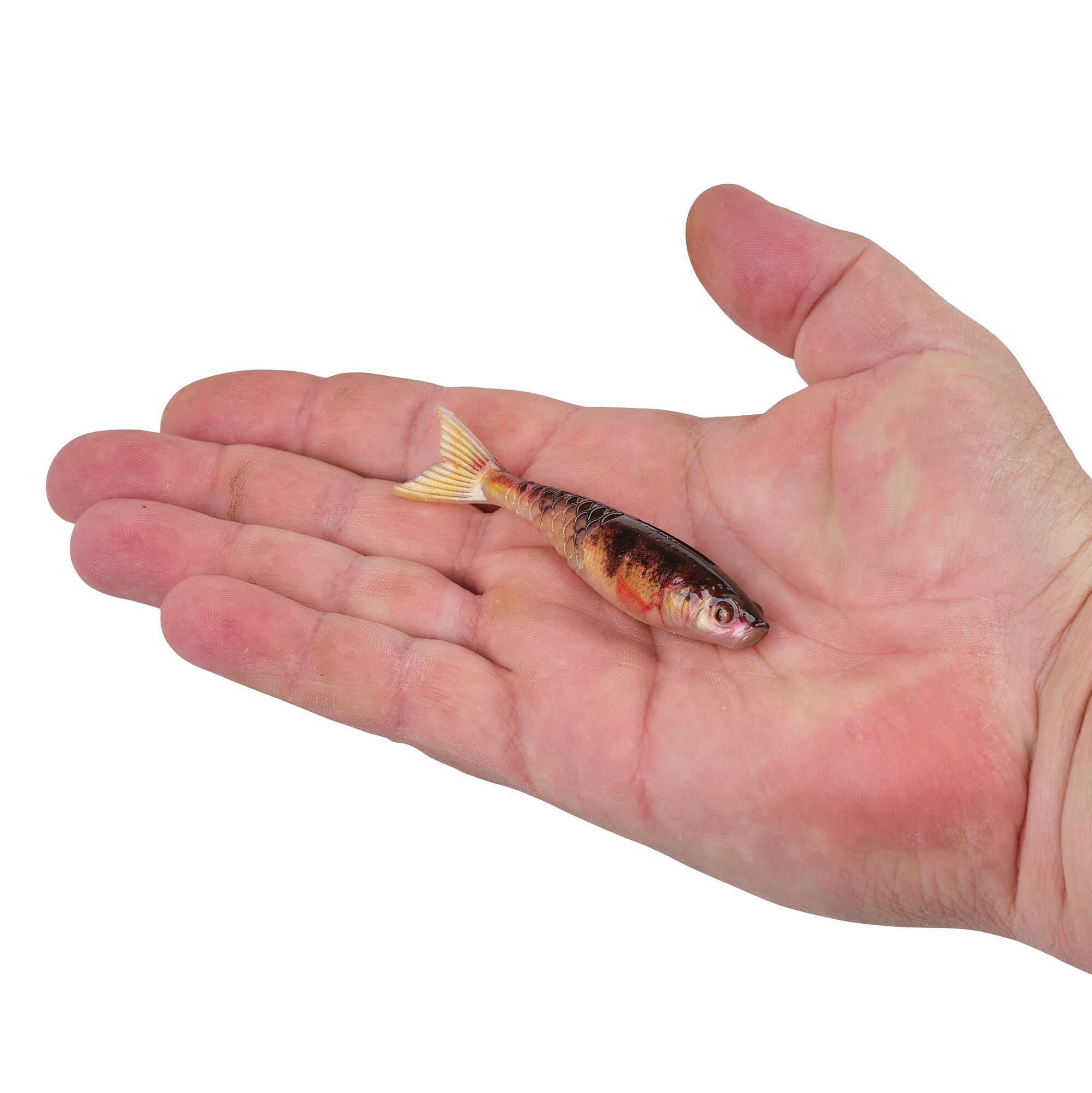 Berkley PowerBait® PowerStinger, 3.5 in, Minnows, HD Yellow Perch (7-count)