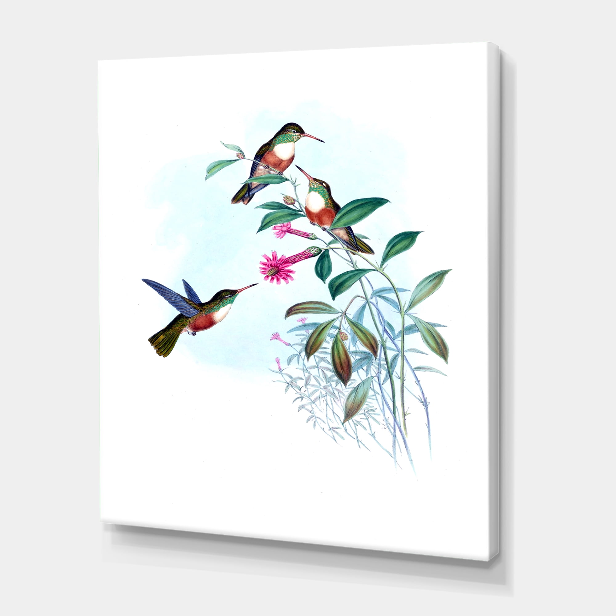 Designart ' Ancient Hummingbird IV ' Traditional Canvas Wall Art Print
