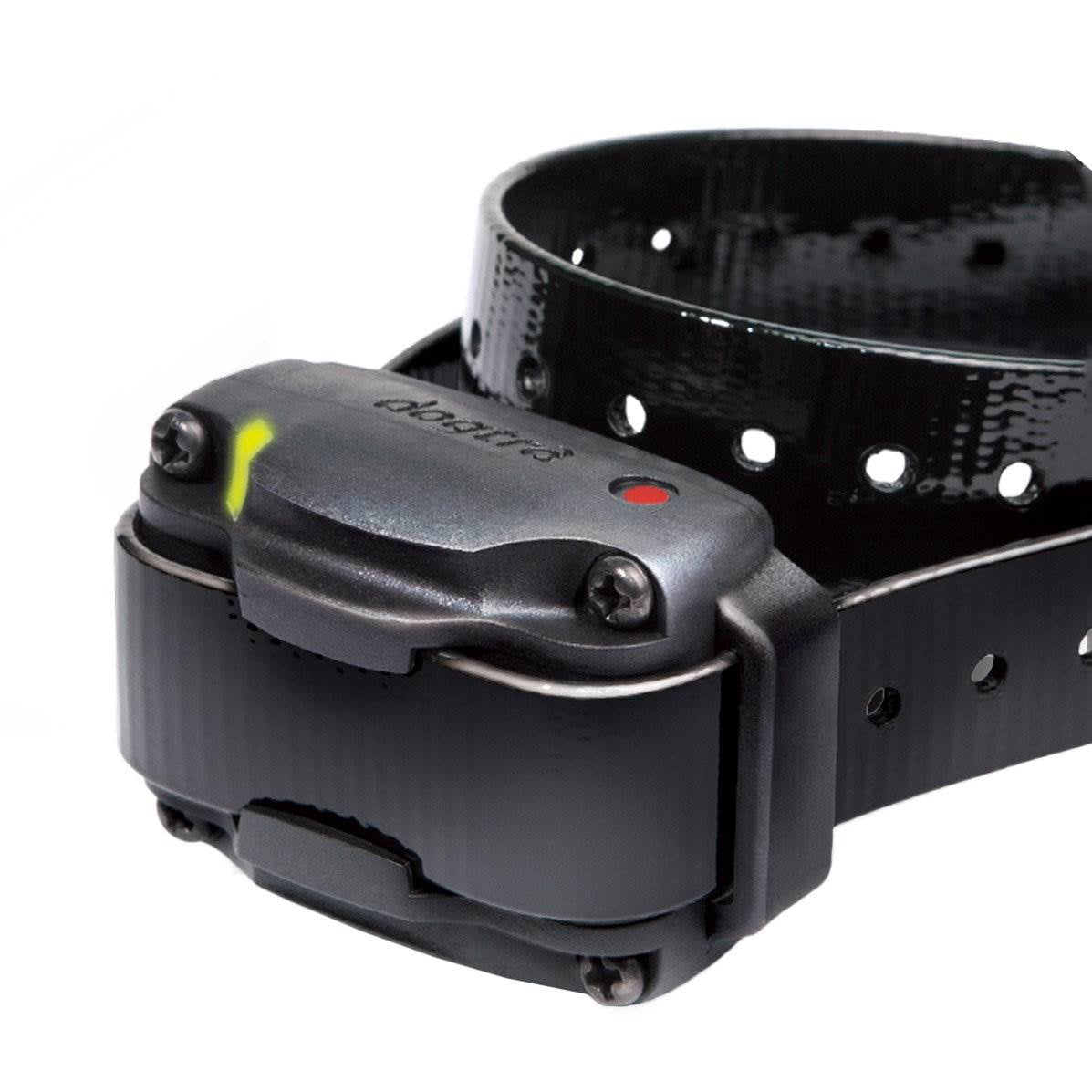 Dogtra 280C Basic Electronic Training Dog Collar with Remote for Dogs