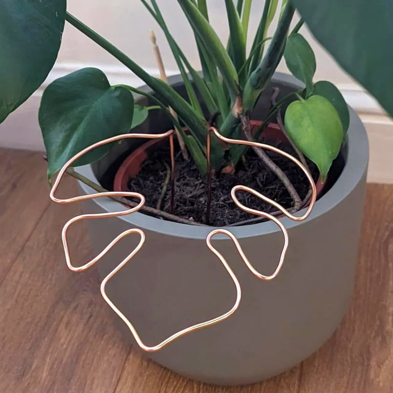 KMSS Plant Support Stakes 1Pcs Plant Stakes for Indoor Potted Plants House  Plant Trellis Indoor Plant Support Stake for Small Planter