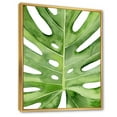 thumbnail image 3 of Designart 'Close Up Green Monstera Leaf Tropical Palm' Tropical Framed Canvas Wall Art Print, 3 of 5