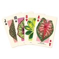 thumbnail image 2 of Houseplant Jungle Playing Card Set (Other), 2 of 6