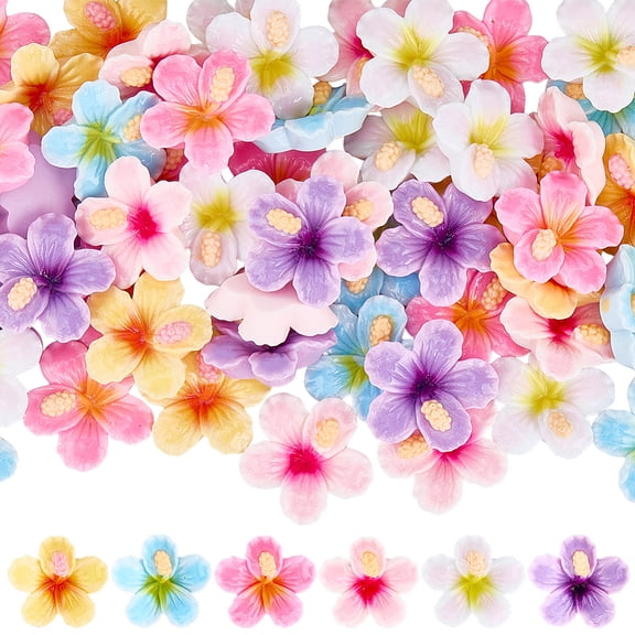 60Pcs 6 Colors Hibiscus Flower Bead Flatback Floral Charms Bulk Plastic Spring 3D Flowers Shaped Large Bead Cabochon Embellishment