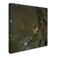 thumbnail image 2 of Trademark Fine Art 'Black-Capped Chickadee Napping' Canvas Art by Thom Sivo, 2 of 3