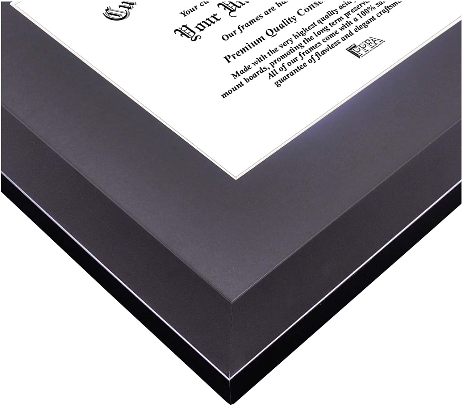 Northern Kentucky University 11w x 8.5h Manhattan Black Single Mat Gold Embossed Diploma Frame with Bonus Campus Images Lithograph (value savings at $59)