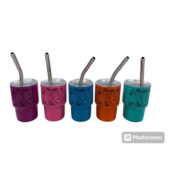 Florida Map Tumbler Shot Glass Asst. 3oz