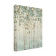 thumbnail image 4 of James Wiens 'Dream Forest II' Canvas Art, 4 of 4