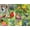 Birds of a Feather, variant on Springbok 500 Piece Birds of Spring Jigsaw Puzzle for Adults - Poster Included