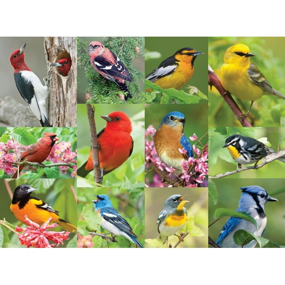 Springbok 500 Piece Birds of a Feather Jigsaw Puzzle for Adults - Made in USA