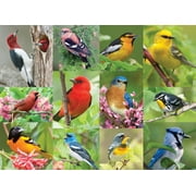 Springbok Birds of a Feather - 500 Piece Jigsaw Puzzle for Adults - Unique Cut Pieces