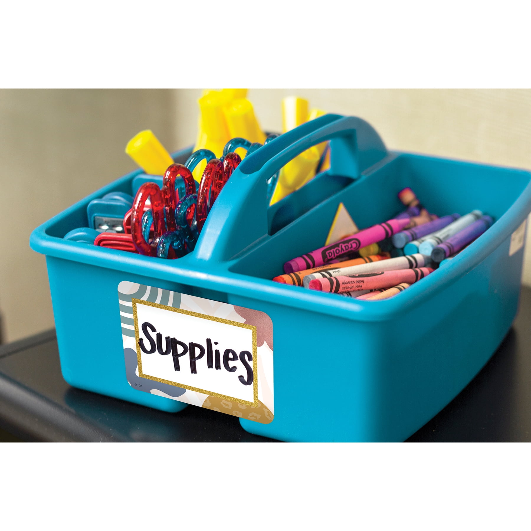 Teacher Created Resources Wonderfully Wild Name Tags/Labels - Multi-Pack, 36 Per Pack, 6 Packs